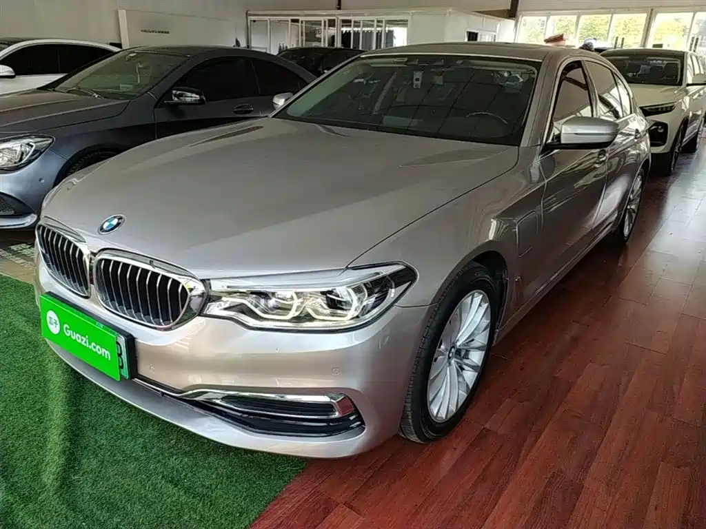 BMW 5 Series New Energy 2020 530Le Range Upgrade Luxury Package