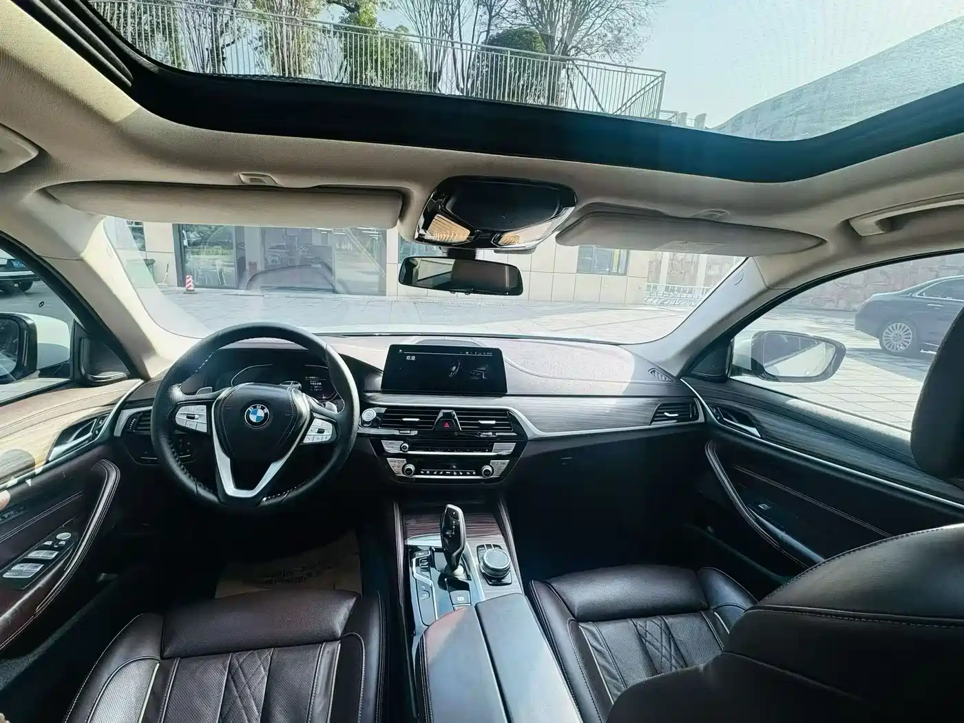 BMW 5 Series 2020 530Li Premium Luxury Package фото 5