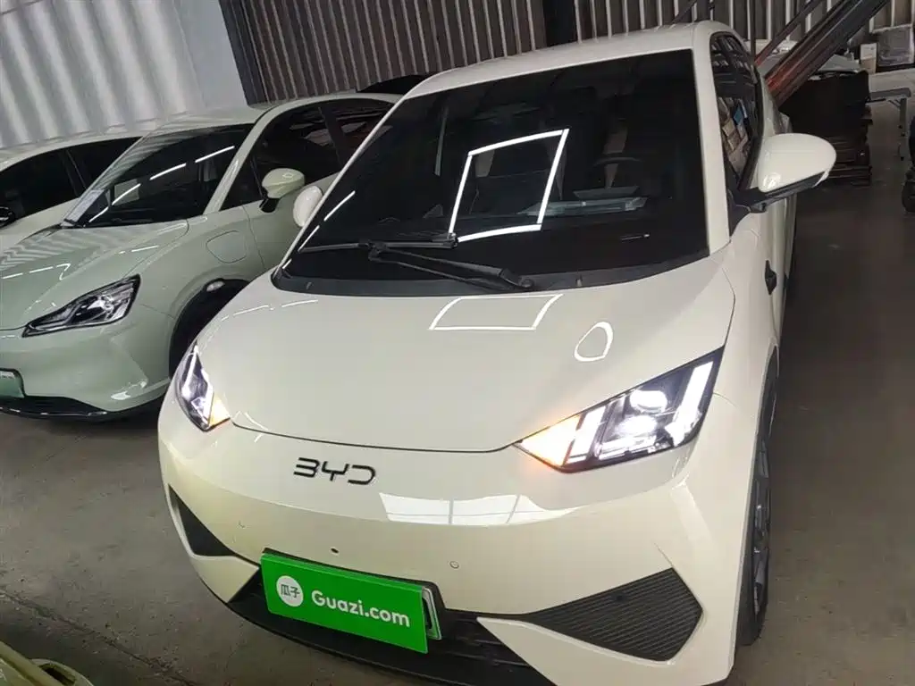 BYD Seagull 2025 Smart Drive Edition 305km Freedom Version фото 3