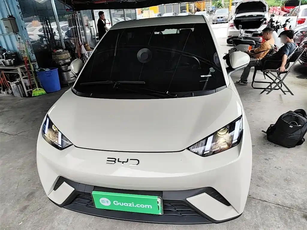 BYD Seagull 2024 Glory Edition 305km Vitality Edition фото 3