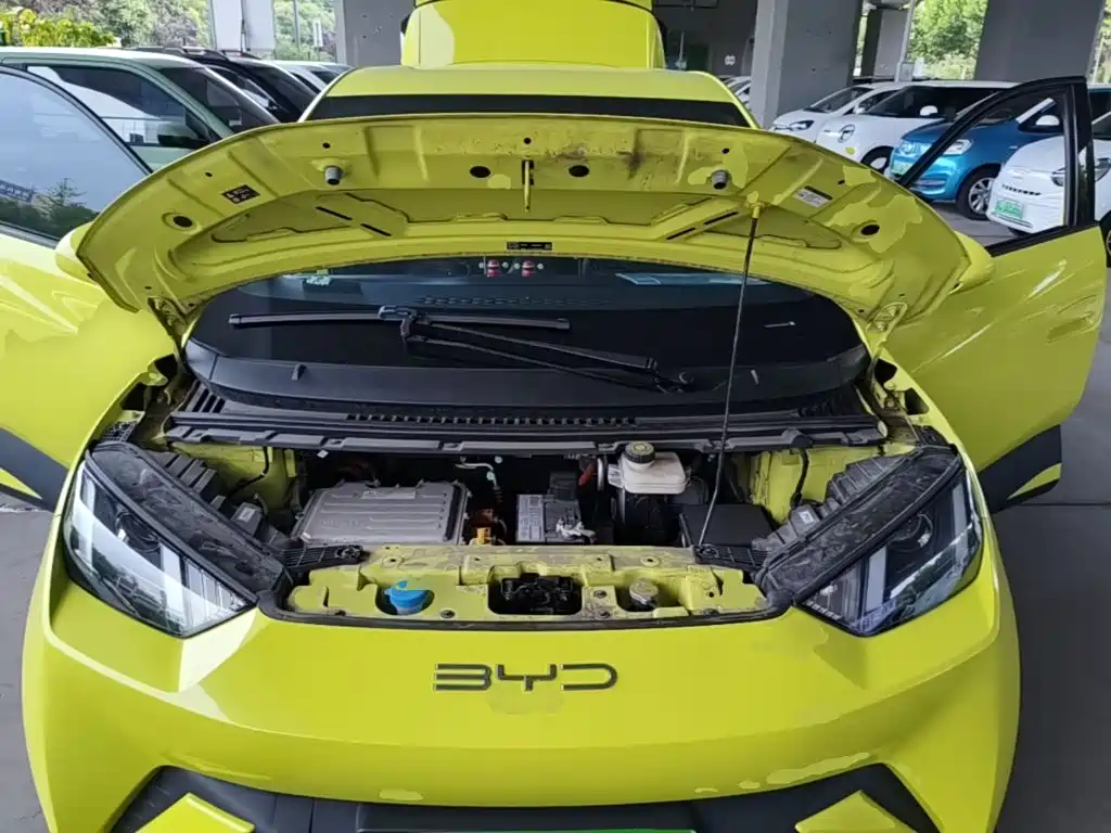 BYD Seagull 2023 2023 Vitality Edition