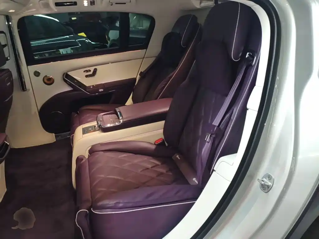Zunjie S800 2025 2025 Model Extended Range Starlight Executive Edition 4-seater