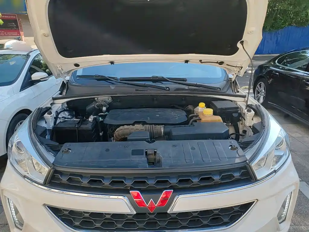 Wuling Motors Wuling Hongguang S3 2019 2018 1.5L Manual Luxury China V