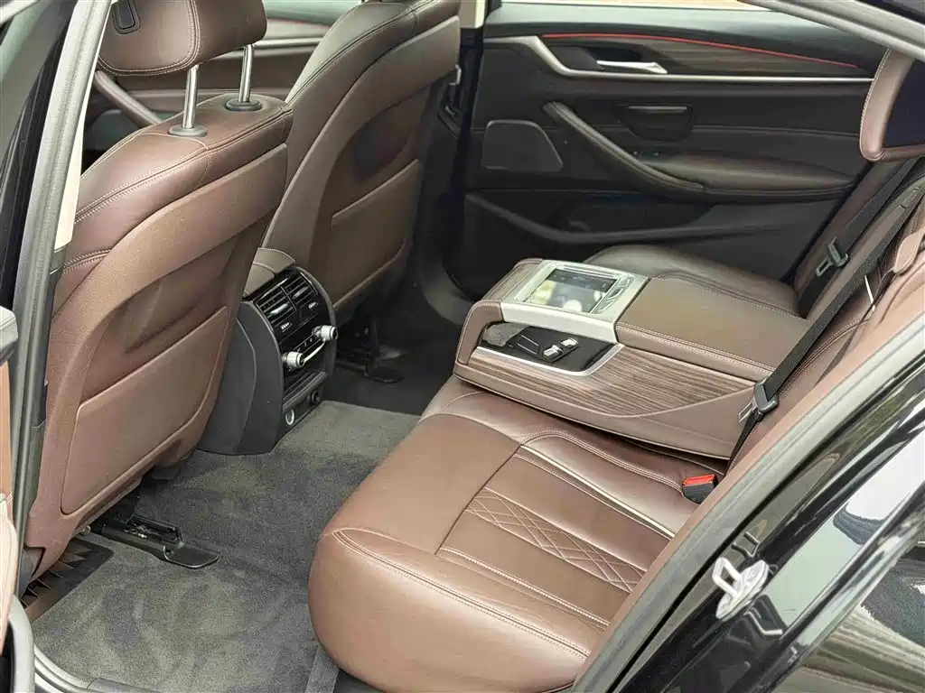 BMW 5 Series 2018 530Li Exclusive Luxury Package фото 10