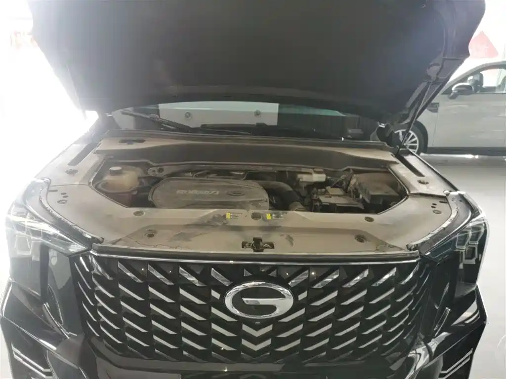 GAC Trumpchi Trumpchi GS8 2022 Pilot Series 2.0TGDI 2WD Luxury Smart Connect Edition (7-Seater) фото 16