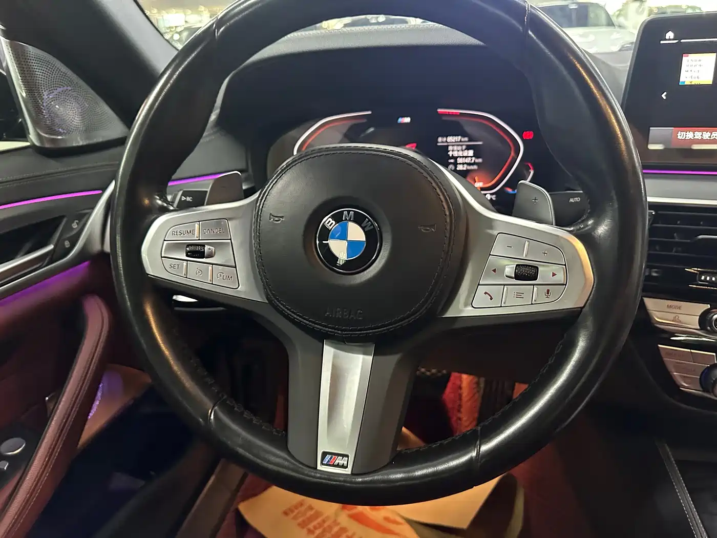 BMW 5 Series 2022 530Li Leading Luxury Package фото 9