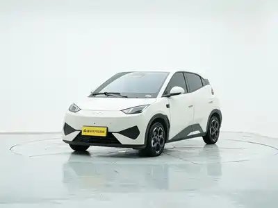 BYD Seagull