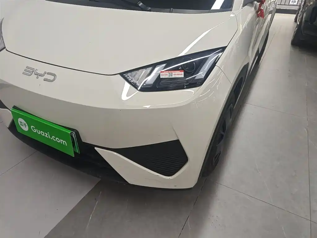 BYD Seagull 2025 Smart Drive Edition 305km Vitality Version фото 24