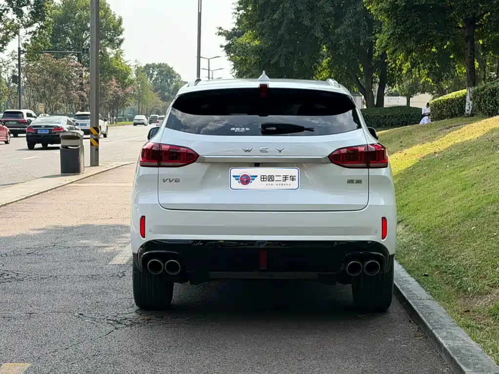 WEY VV6 2021 2021 2.0T 2WD Smart Enjoyment+