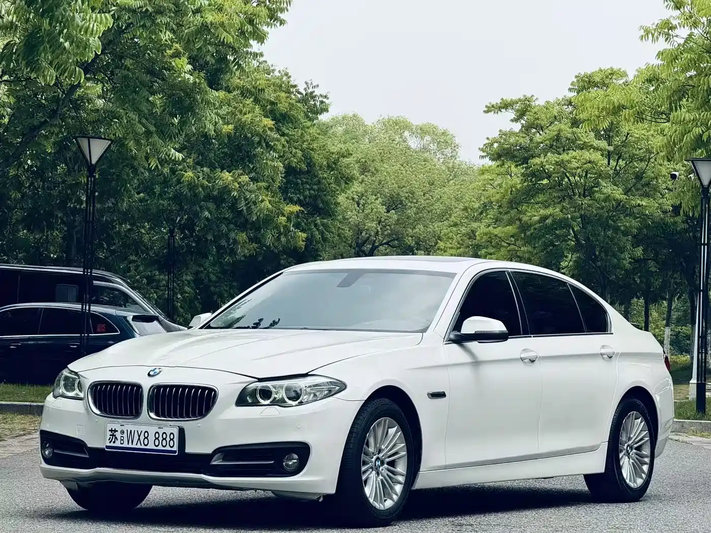 BMW 5 Series 2013 525Li Leadership