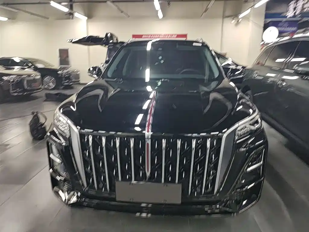 Hongqi HS5 2023 2.0T Flag Enjoy Pro Edition фото 3