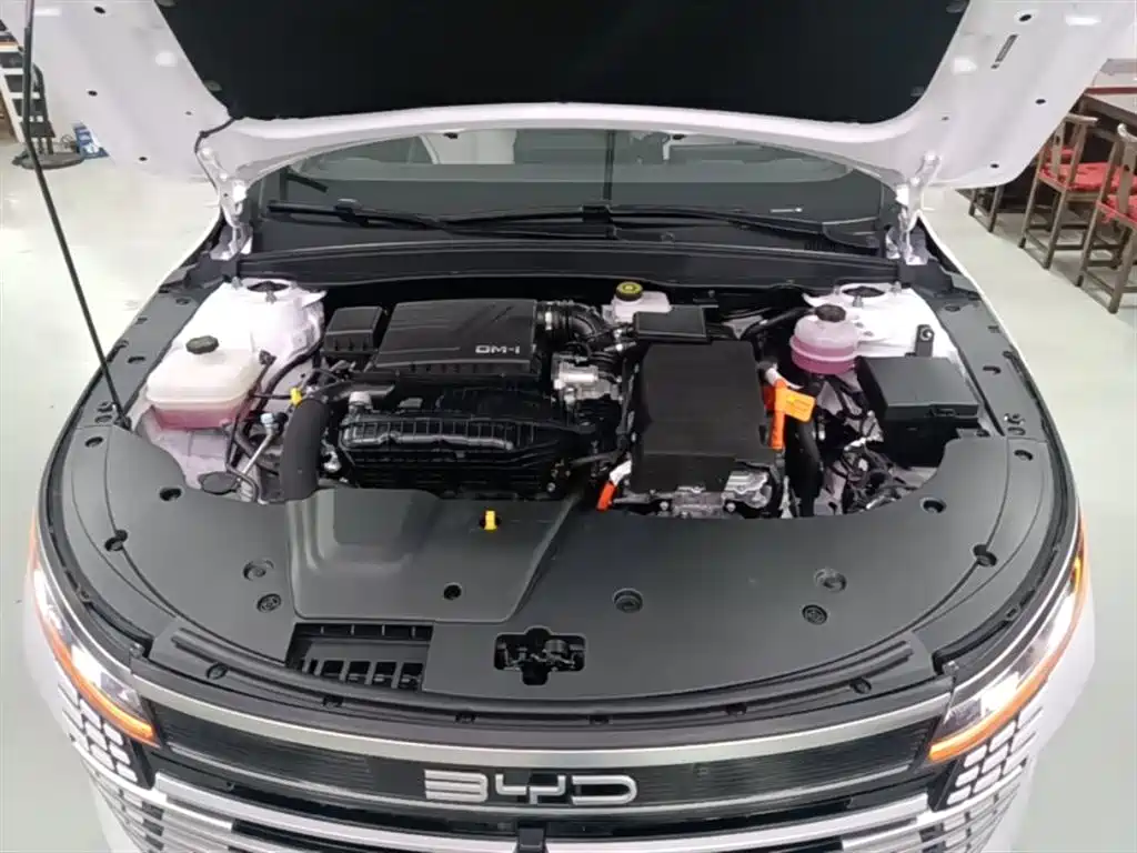 BYD Destroyer 05 2024 Glory Edition DM-i 55KM Luxury фото 10