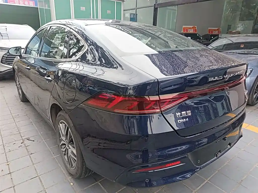 BYD Qin PLUS 2024 Glory Edition DM-i 120KM Surpass фото 5