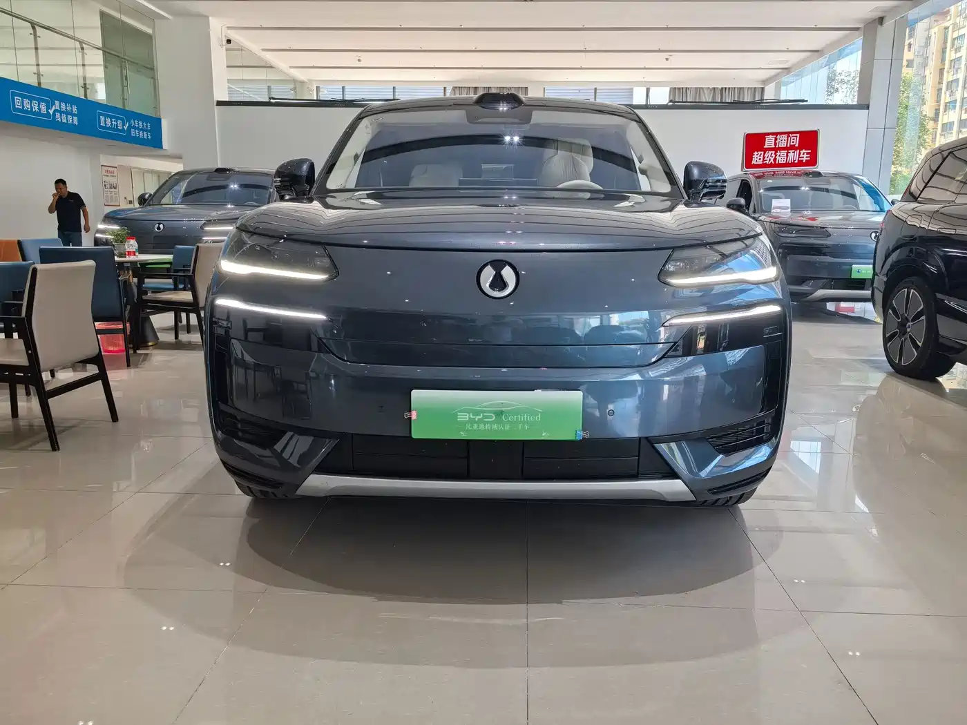 2026 Denza N9