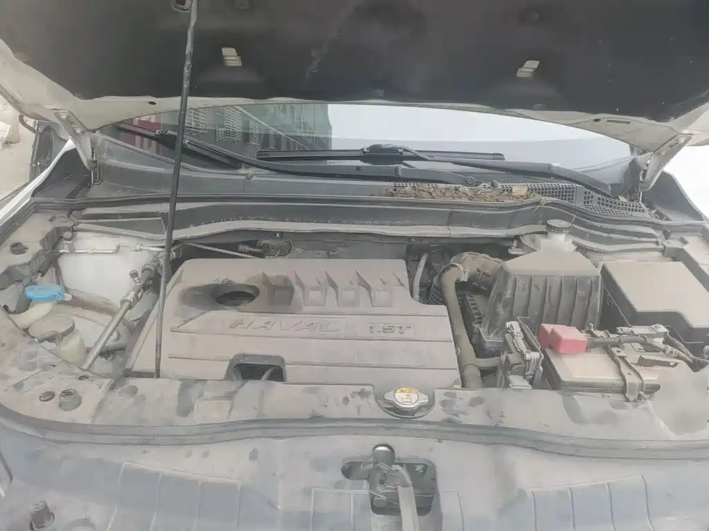  Haval Haval H6 2019 Sport 1.5T Automatic 2WD Elite (China VI) 20