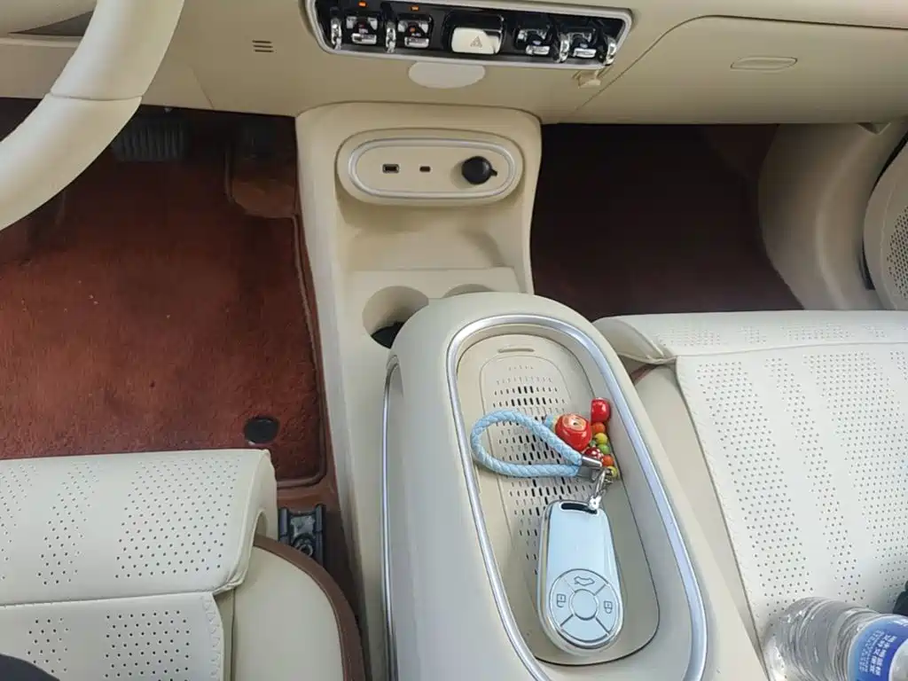 Ora Good Cat 2025 2024 401km Luxury