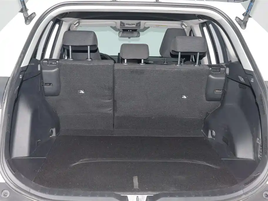 Toyota RAV4 Rongfang 2022 2.0L CVT 2WD Urban Edition фото 13