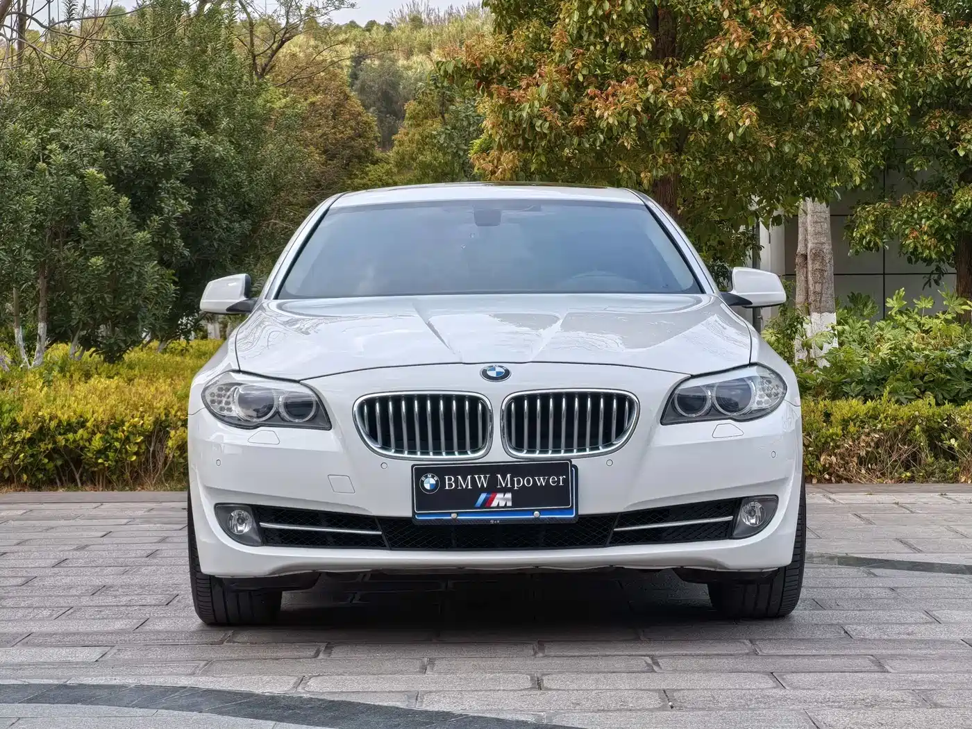 BMW 5 Series 2013 535Li Luxury фото 3