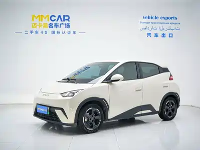 BYD Seagull