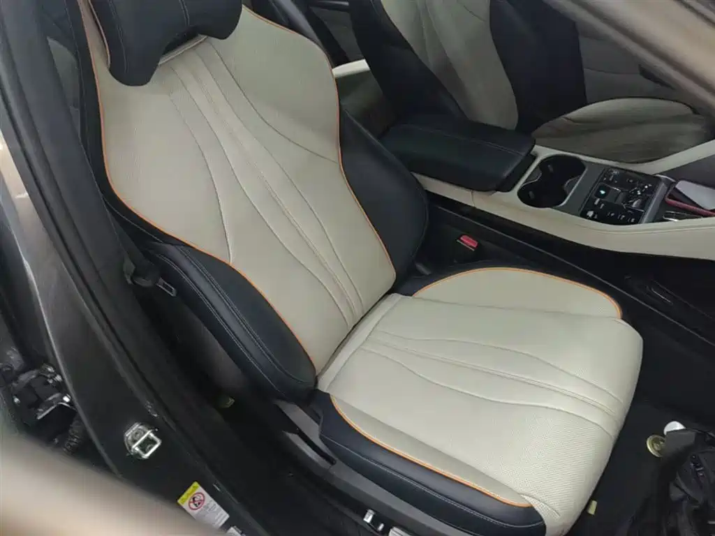 BYD Song PLUS PHEV 2024 Glory Edition DM-i 110km Flagship фото 25