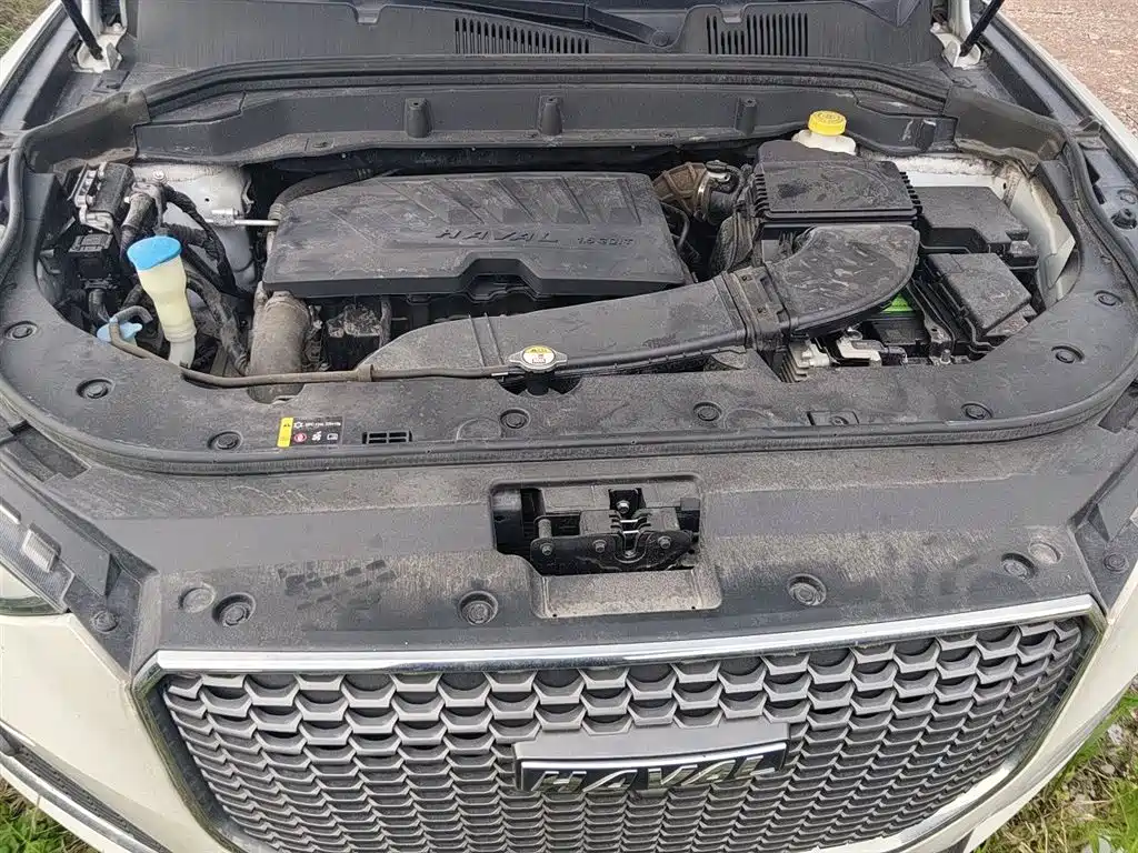 Haval F5 2018 1.5T i-Trend фото 16