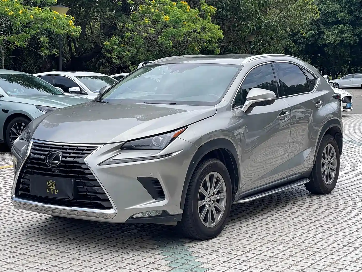 Lexus NX 2018 Model 200 AWD Fengshang Edition China V