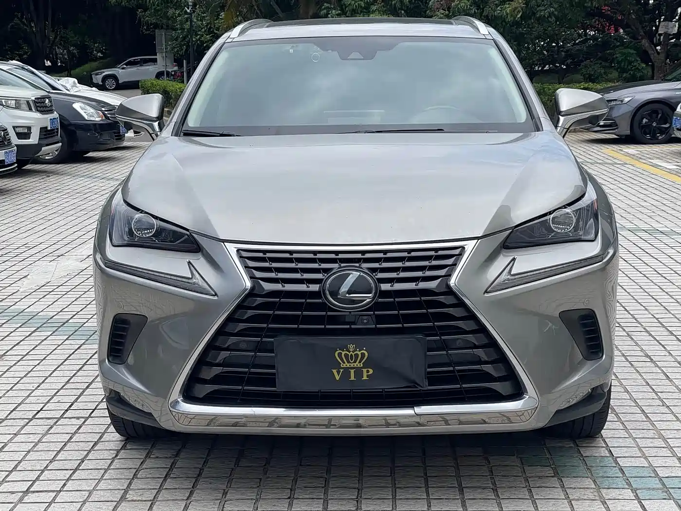 Lexus NX 2018 Model 200 AWD Fengshang Edition China V фото 3