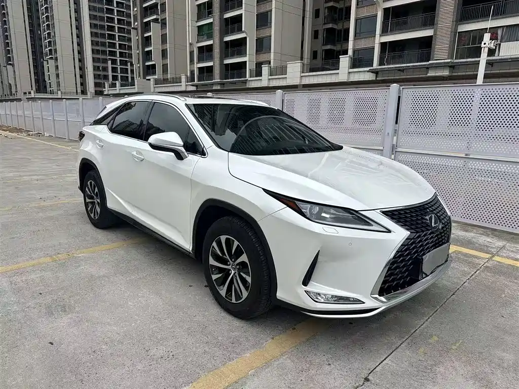 Lexus RX 2020 300 2WD Elite Edition China V фото 3