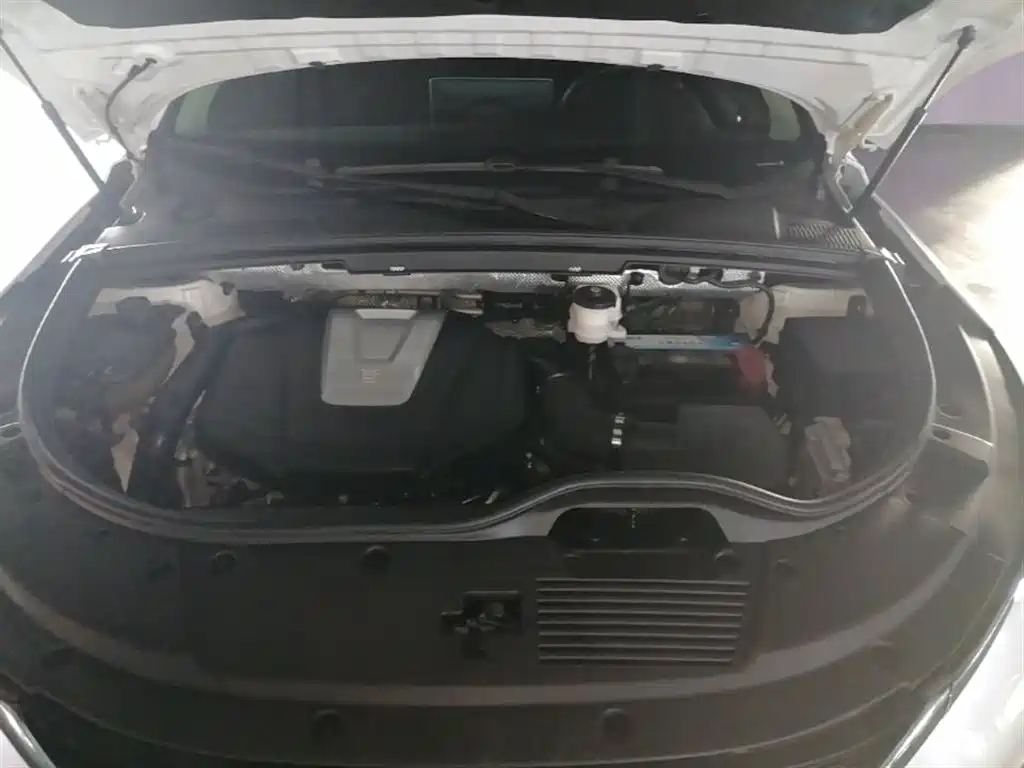BYD Tang 2018 2.0T Automatic Smart Connection Honor Edition 7-Seater China V фото 11