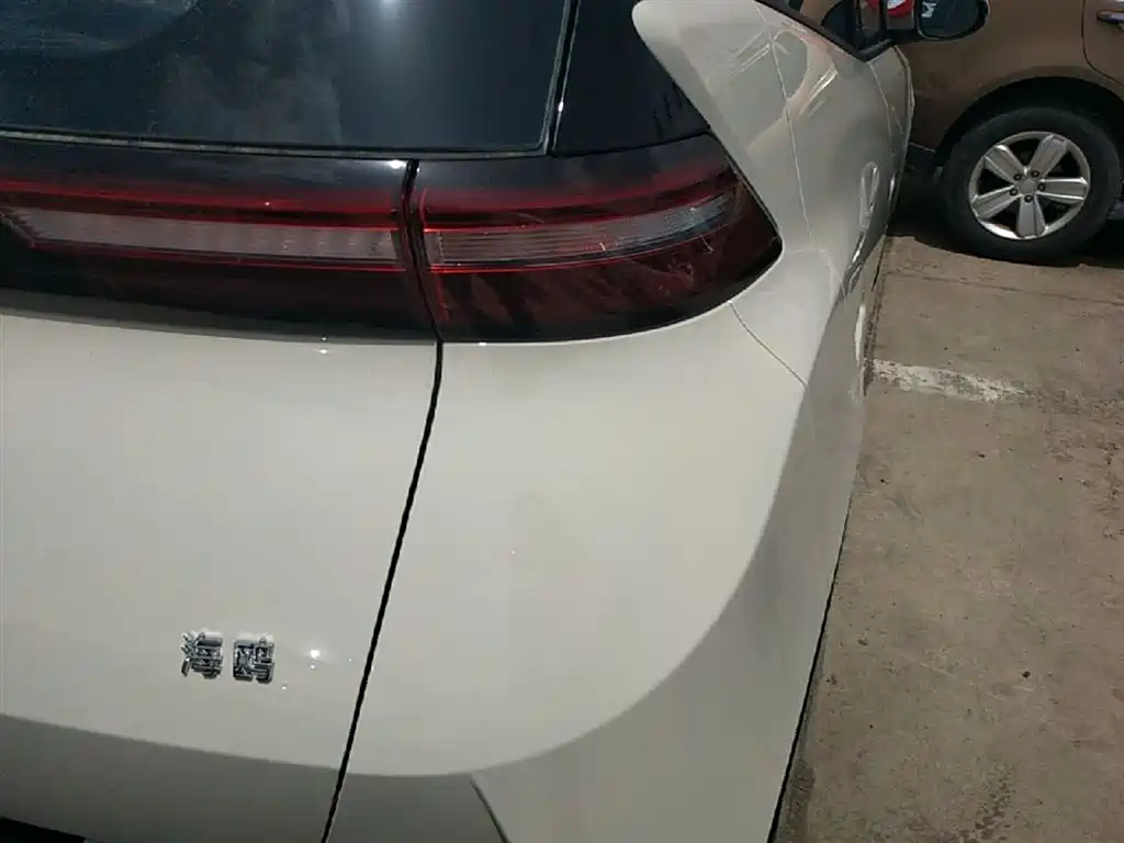 BYD Seagull 2025 Smart Drive Edition 305km Vitality Version фото 8