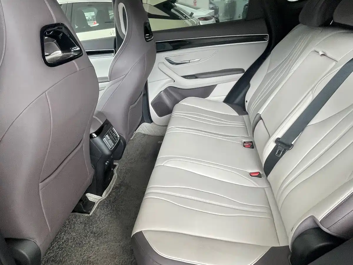 BYD Song PLUS PHEV 2025 DM-i 112KM Premium фото 11