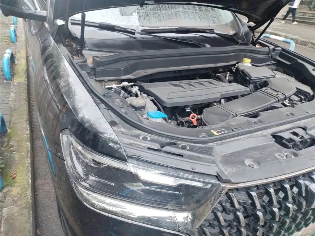 Haval H6 2023 National Trend Edition 1.5T Automatic Urban фото 21