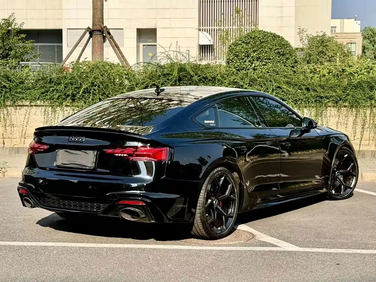 Audi RS 5 2025 2024 RS 5 2.9T Sportback Ignition Edition