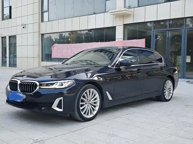 BMW 5 530Li, Престиж, Люкс-пакет