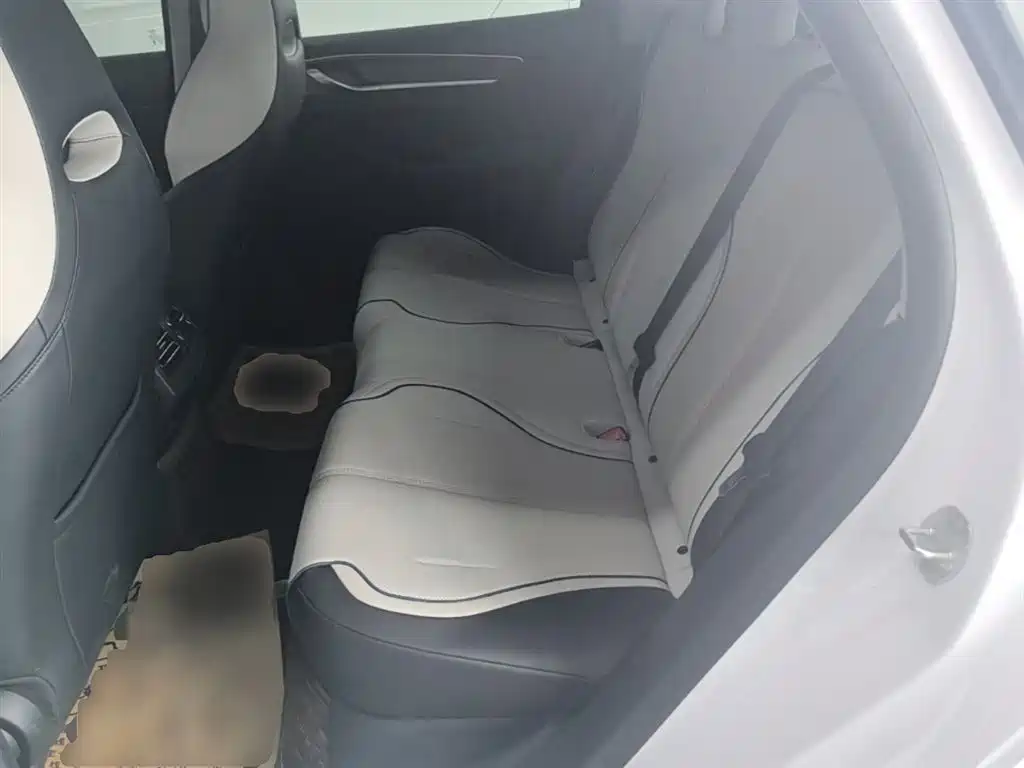 BYD Destroyer 05 2024 Glory Edition DM-i 55KM Luxury фото 17
