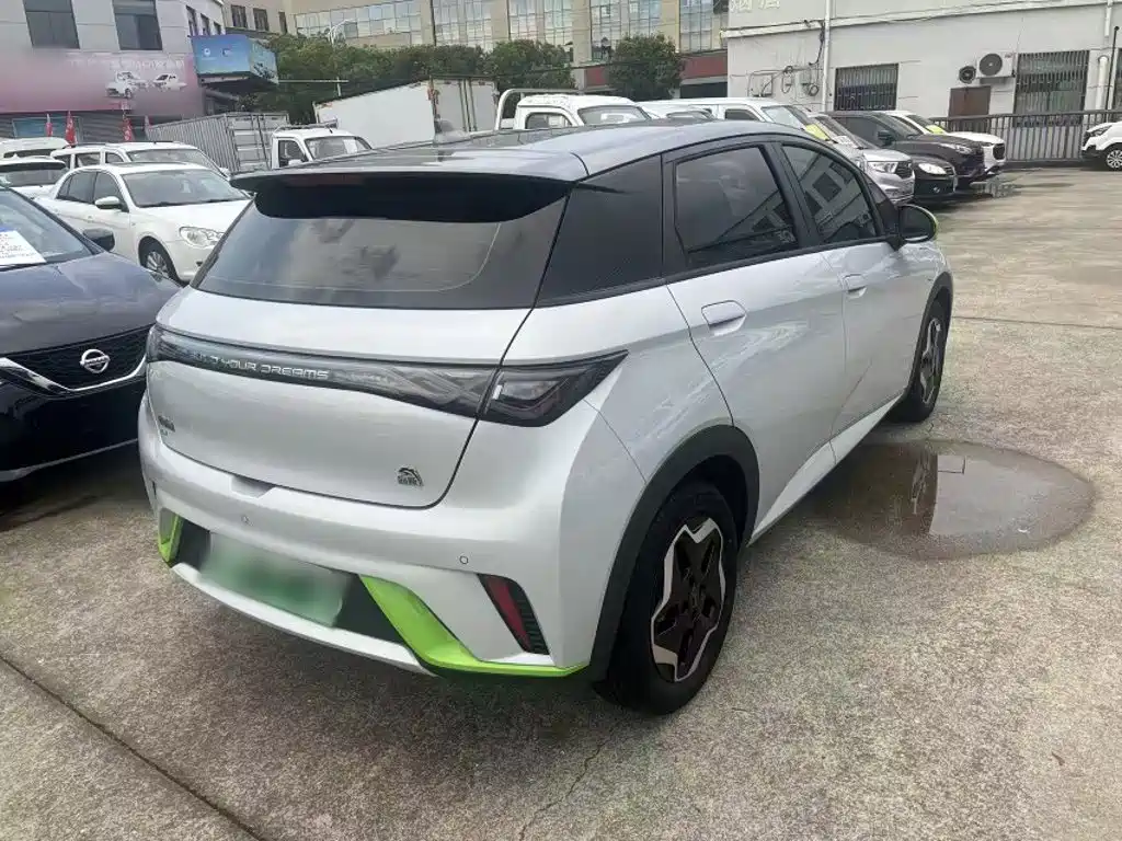 BYD Dolphin 2021 2021 405km Freedom Edition