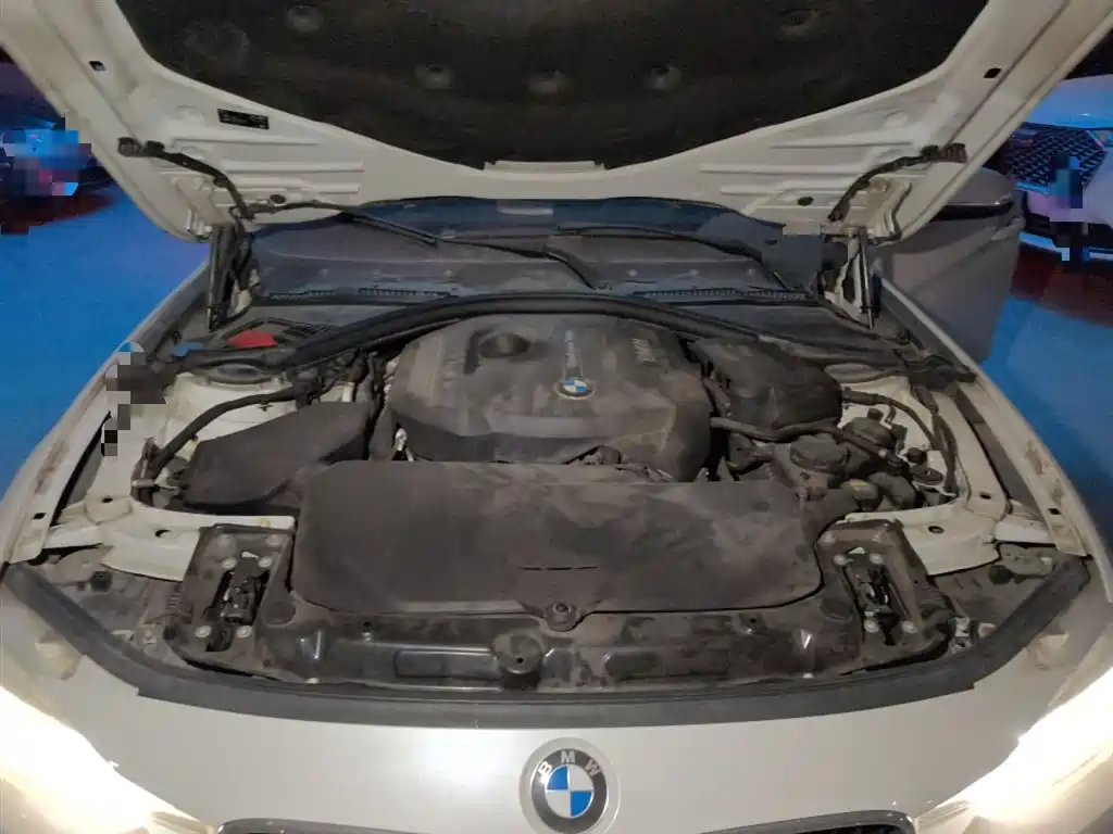 BMW 3 Series 2017 320Li Fashion фото 11