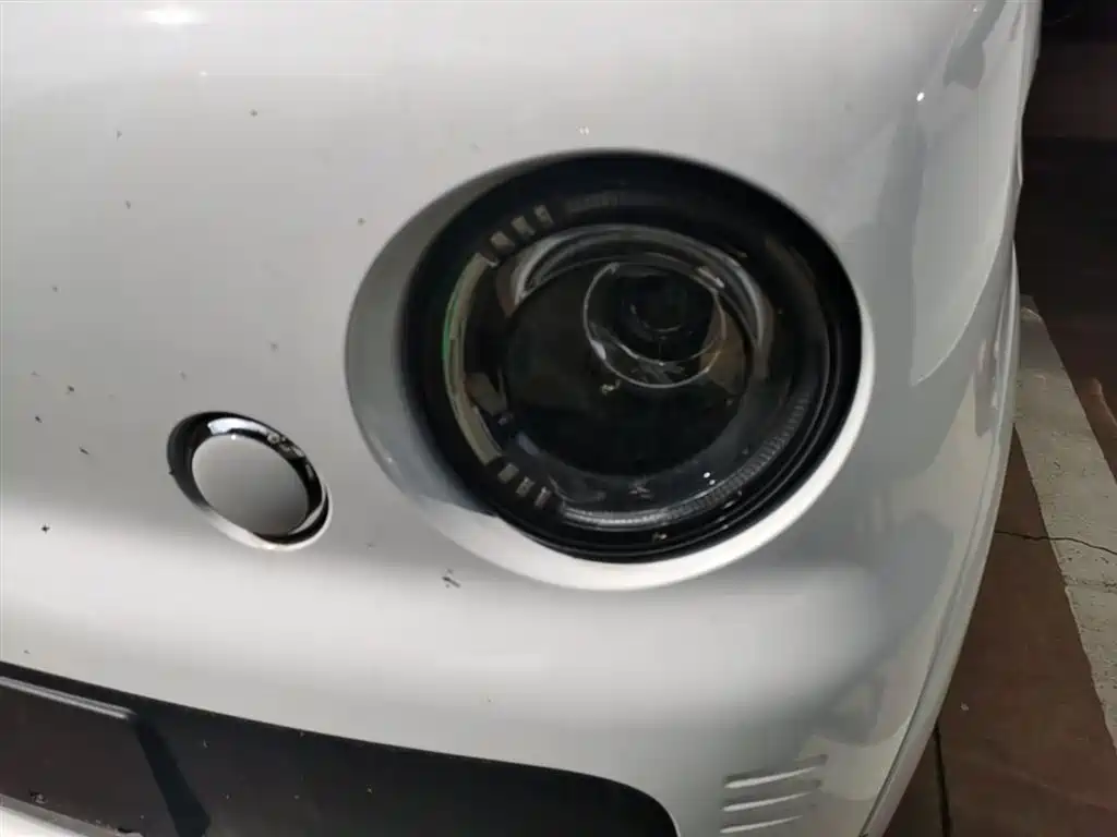 Ruilan Auto Ruilan Blue Elf 2026 2025 Base Model