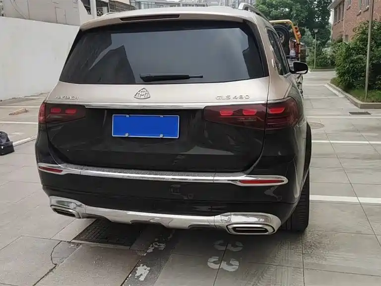 Mercedes-Benz Maybach GLS 2025 GLS 480 4MATIC фото 4