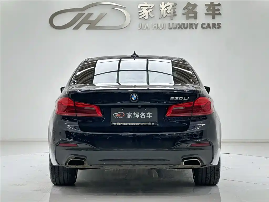 BMW 5 Series 2020 530Li Leading M Sport Package фото 6