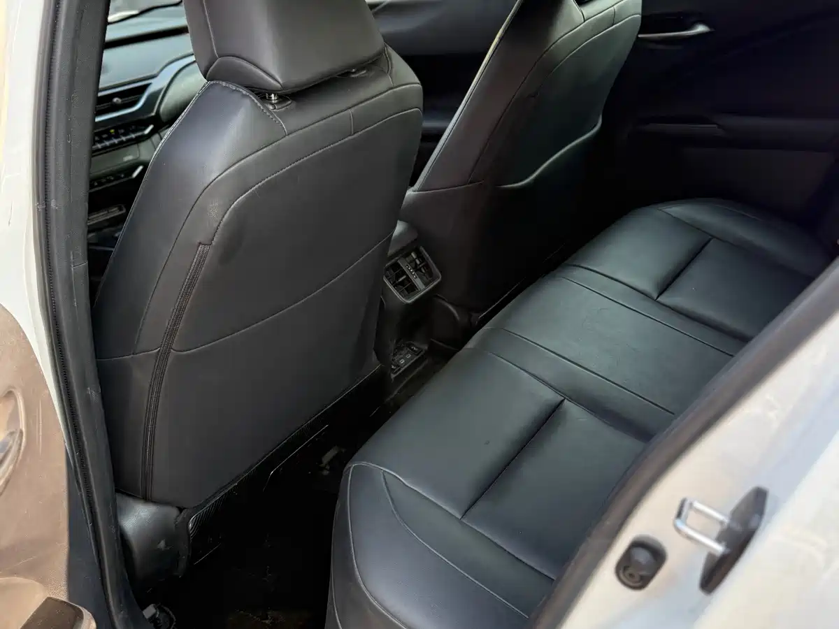 Lexus UX Electric 2022 2020 300e Pure Enjoyment Edition