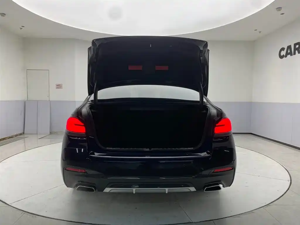 BMW 5 Series 2021 530Li Leading M Sport Package фото 29