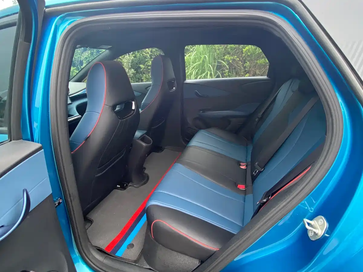 BYD Dolphin 2021 Model 405km Fashion Edition фото 9