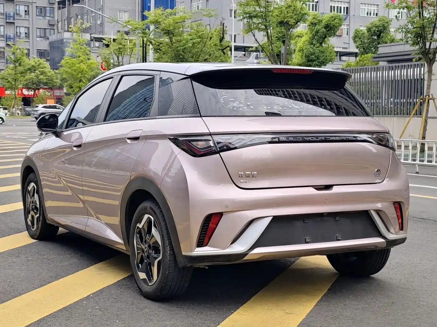 BYD Dolphin 2021 Model 405km Fashion Edition фото 3