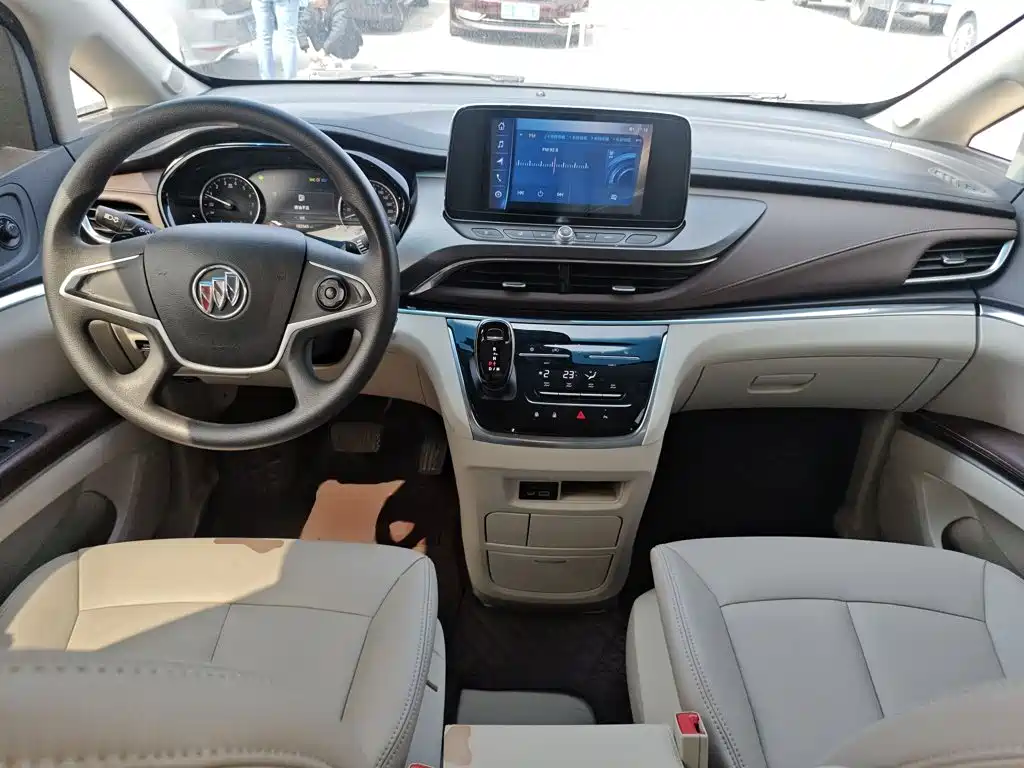 Buick Buick GL8 2020 Model Land Business Class 652T Comfort 6