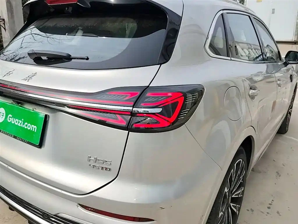 Hongqi HS5 2023 2.0T 4WD Flag Leader Pro фото 8
