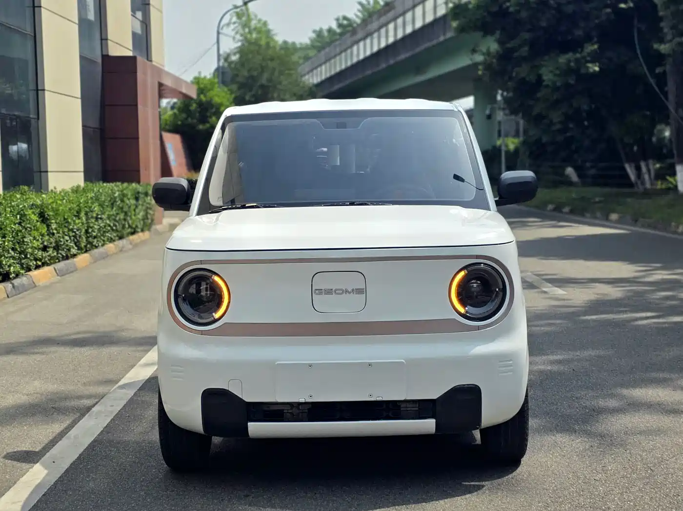 Geely Galaxy Panda 2023 Panda Mini 200km Endurance Bear фото 2