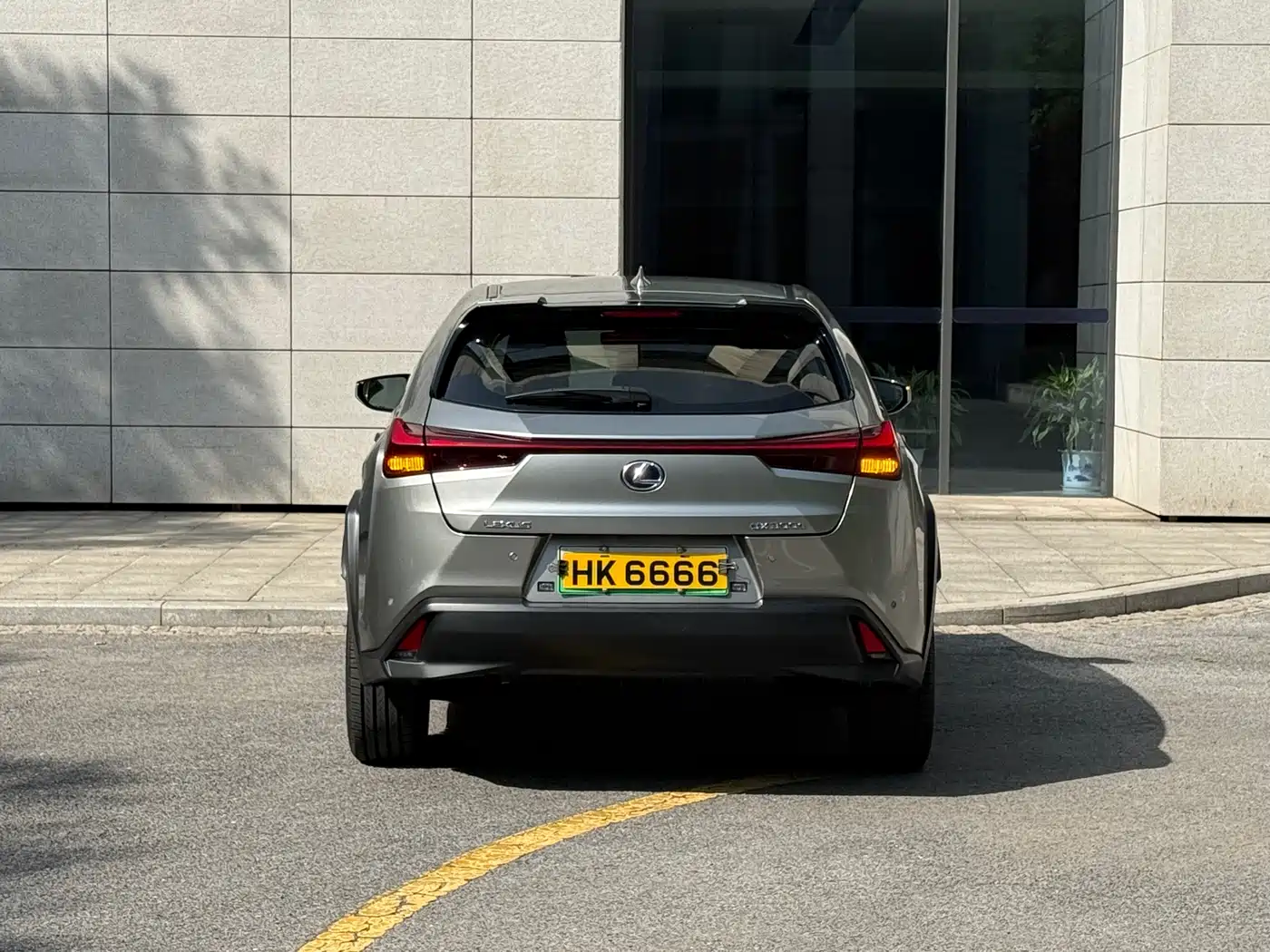 Lexus UX Electric 2020 300e Pure Enjoyment Edition фото 21