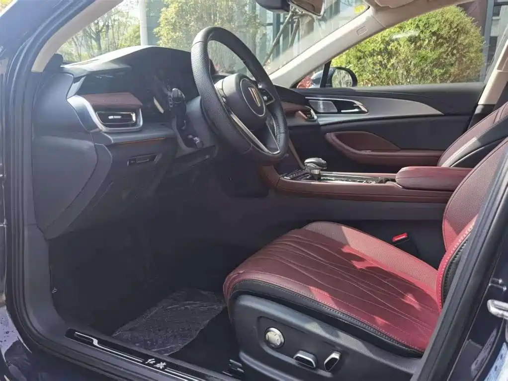 Hongqi H5 2024 2.0T Automatic Smart Connect Flag Leader Edition фото 9