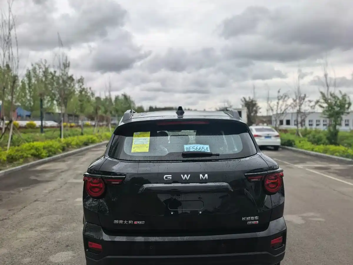 Haval Second-Generation Big Dog New Energy 2025 Hi4 145km Premium Edition фото 8